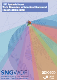 2022 SNG-WOFI Synthesis Report 